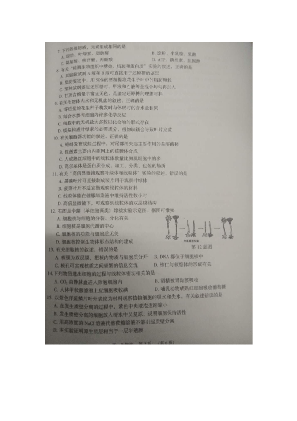 2018-2019学年广东省东莞市高一上学期期末考试生物试题  扫描版