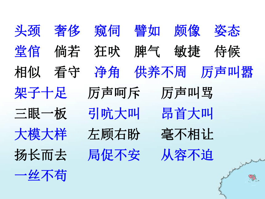 白鹅课件(共33张PPT)