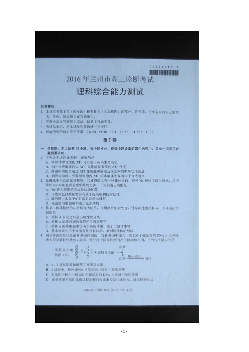 甘肃省兰州市2016届高三下学期诊断(一诊)考试理科综合试题 扫描版含答案