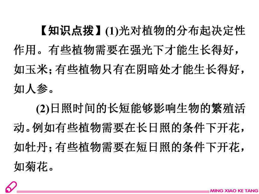 2019年秋八年生物北师大版下册课件：23.1生物的生存依赖一定的环境22张PPT