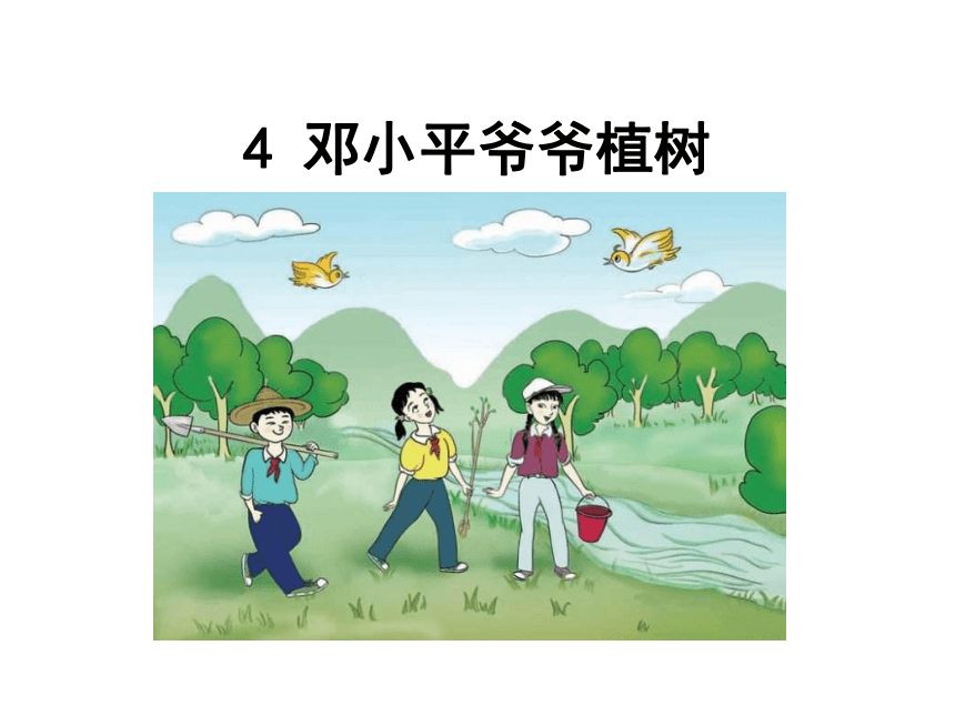 4 邓小平爷爷植树-（共14张）
