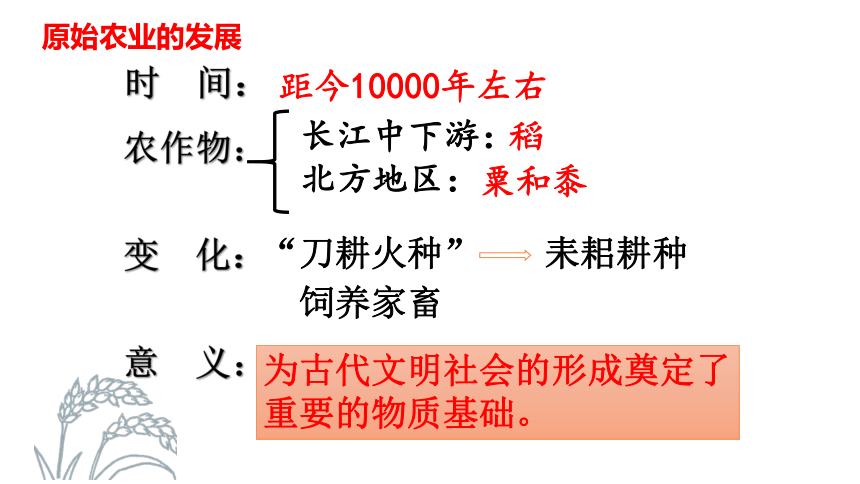 第2课 原始农耕生活 课件（共30张PPT）
