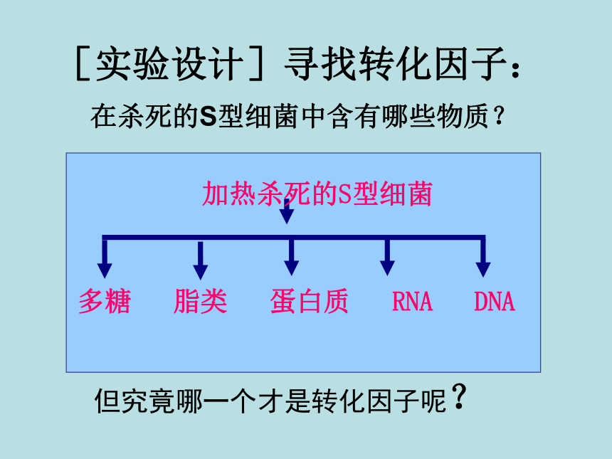 3.1DNA是主要的遗传物质课件（31张）