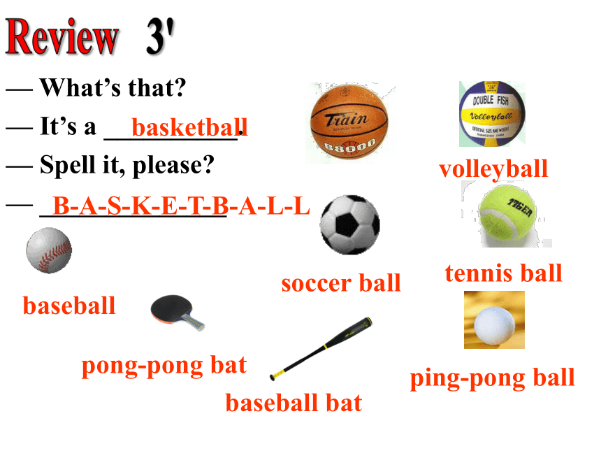 Unit 5 Do you have a soccer ball Section B (3a-self check)课件(共17张PPT ...