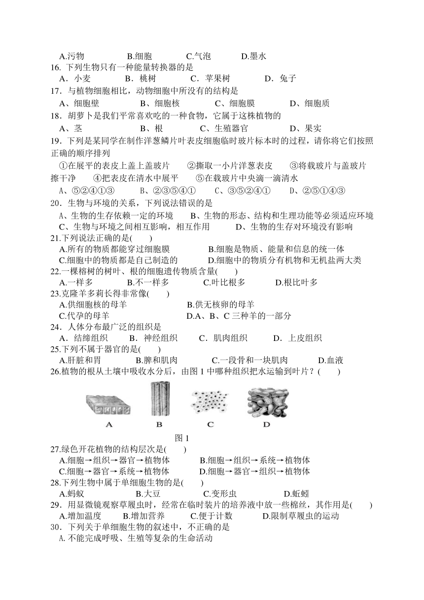 江西省永修县军山中学2017-2018学年七年级上学期期中考试生物试题