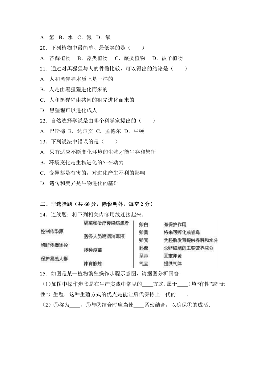 海南省海口市美舍学校2016-2017学年八年级（下）月考生物试卷（3月份）（解析版）