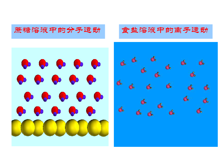 【鲁教版】（54制）九年级化学：1.1《溶液的形成》ppt课件（共19张ppt）