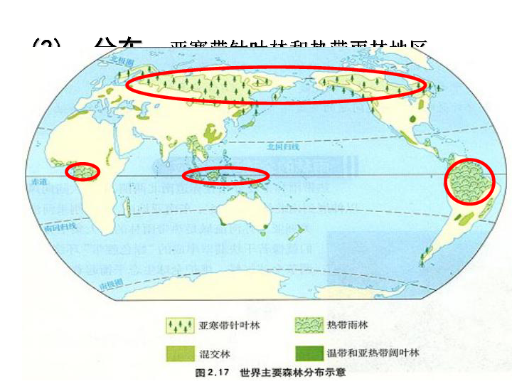 世界森林分布示意图图片