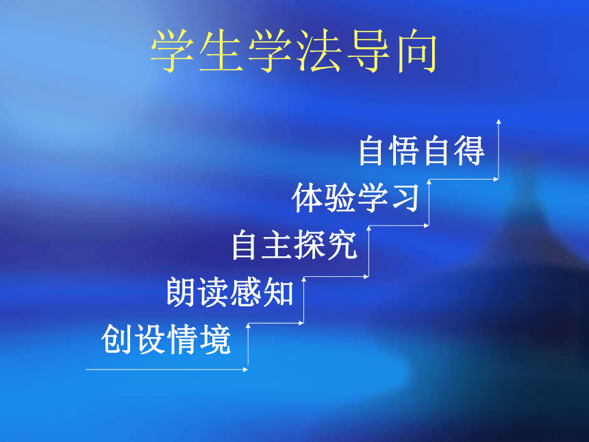 《尾巴的功能》课件