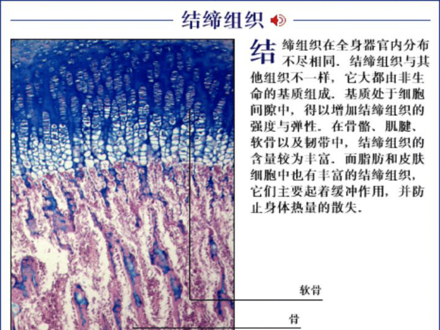 第三节 人体概述 课件 (3)