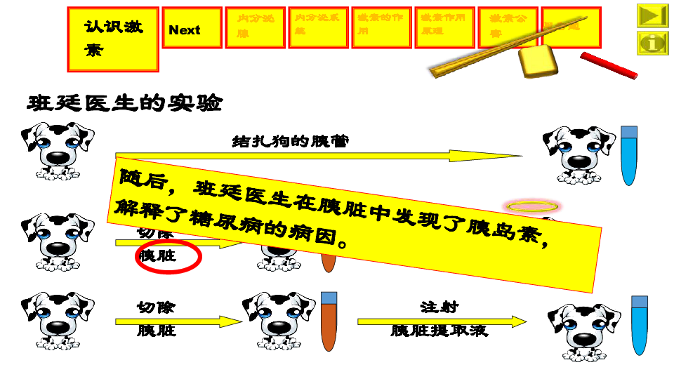 上海版生物八年级上册8.2《激素调节》 课件(共27张PPT)