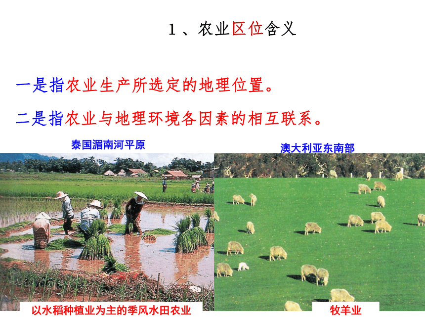 地理必修Ⅱ湘教版3.2 农业区位因素与农业地域类型课件