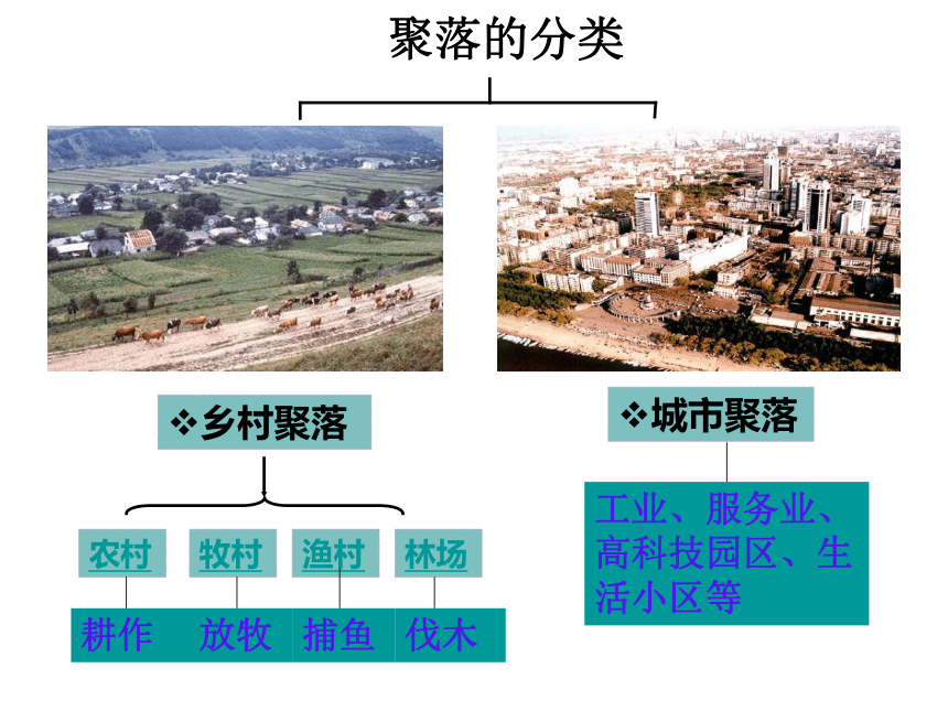 XIABEILEI七年级历史与社会《乡村与城市》 课件（63张PPT）