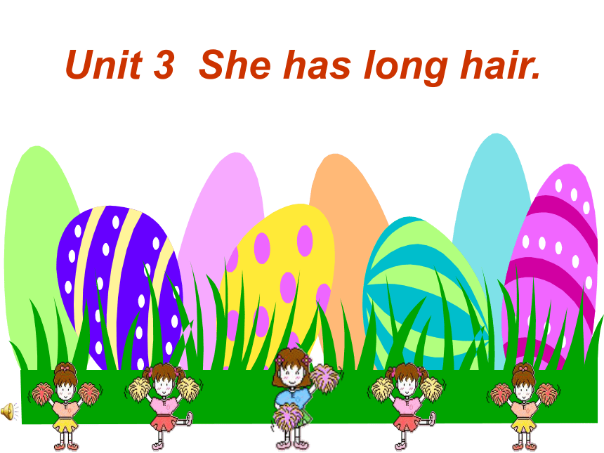 Unit 3 She has long hair 课件