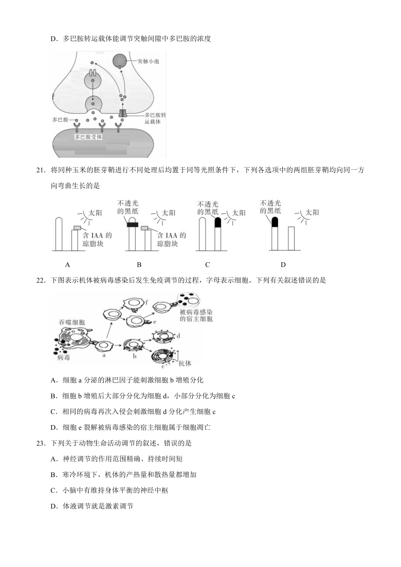 陕西省安康市2021届高三上学期1月第二次教学质量联考生物试题   含答案