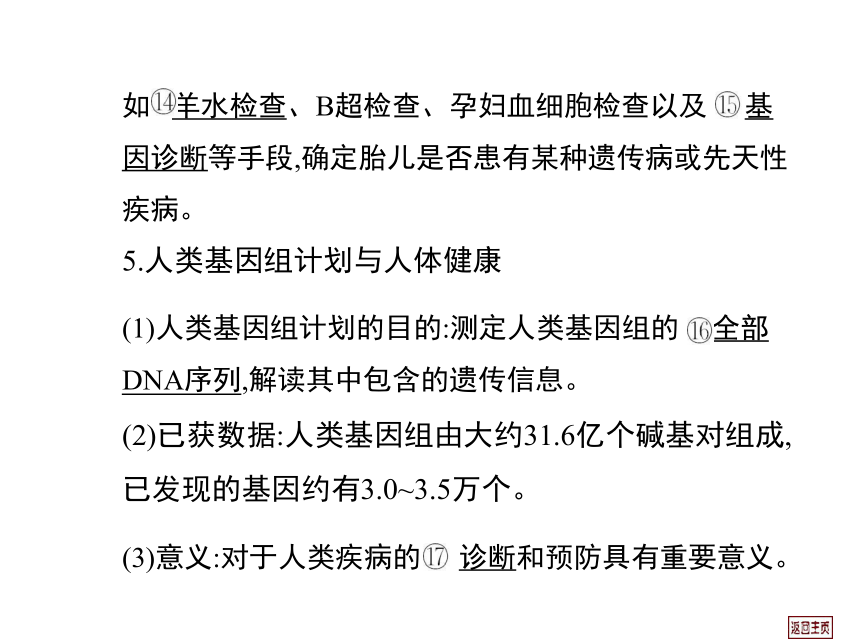 2014届高三生物一轮复习课件： 7.2 人类遗传病