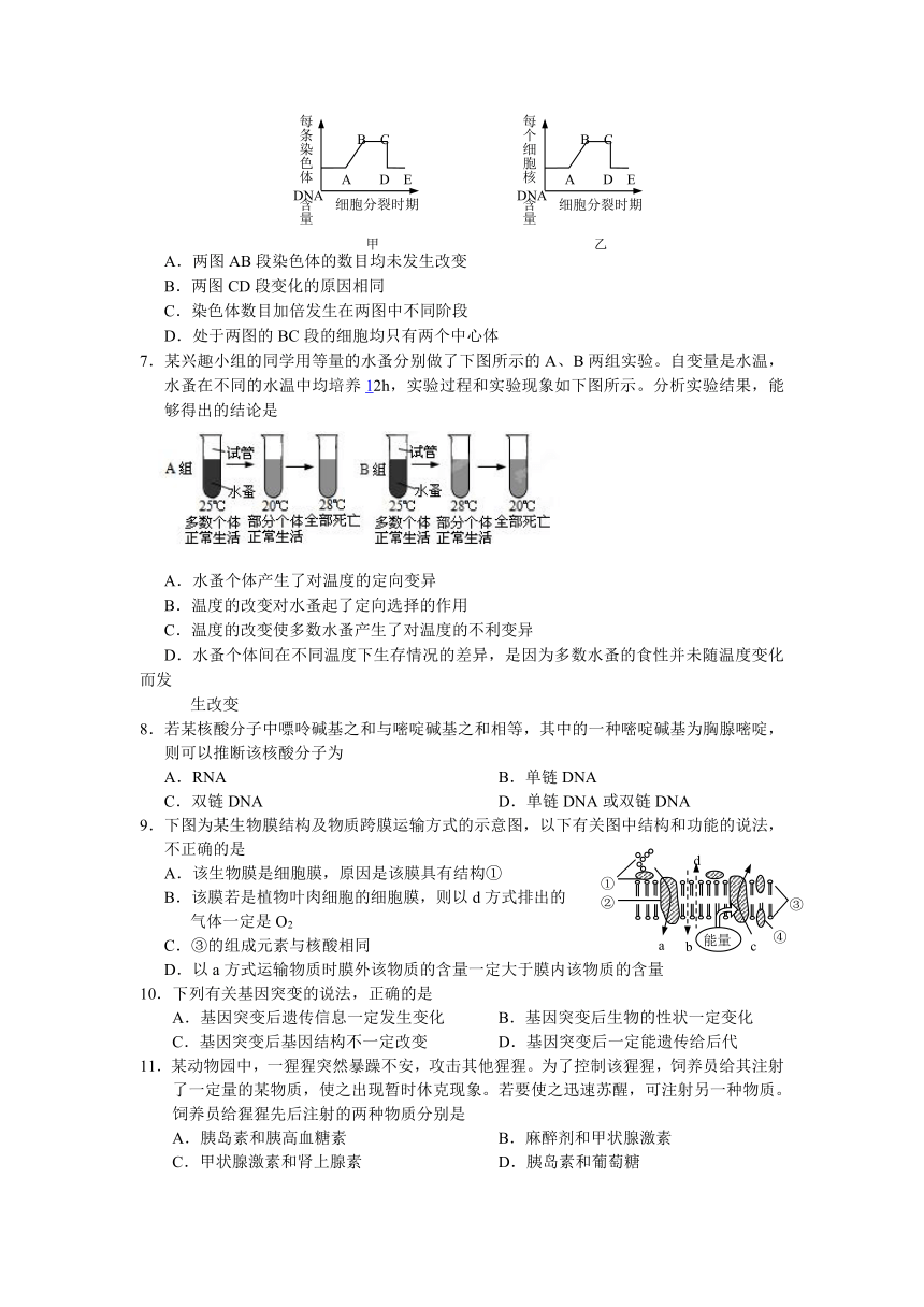 吉林省公主岭实验中学2013届高三上学期期末考试生物试题