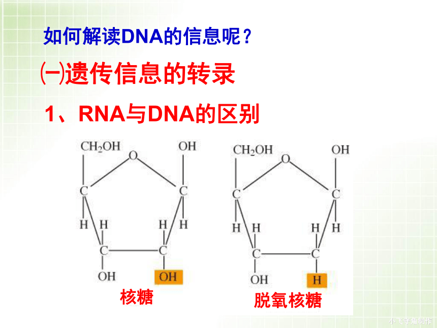 人教版必修2第四章第一节基因指导蛋白质的合成（共63张PPT）