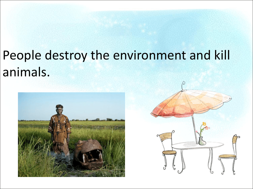Unit 3 The environment and us Lesson 20 课件