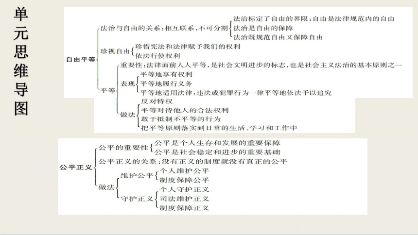 第四单元崇尚法治精神复习课件18张ppt