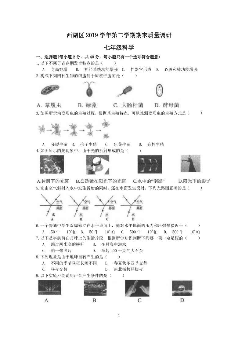 浙江省杭州市西湖区2019学年第二学期期末质量调研七年级科学卷(word版 含答案）