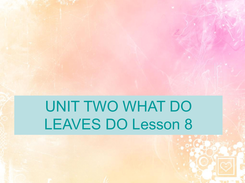 Unit 2 What do flowers do? Lesson 8 课件