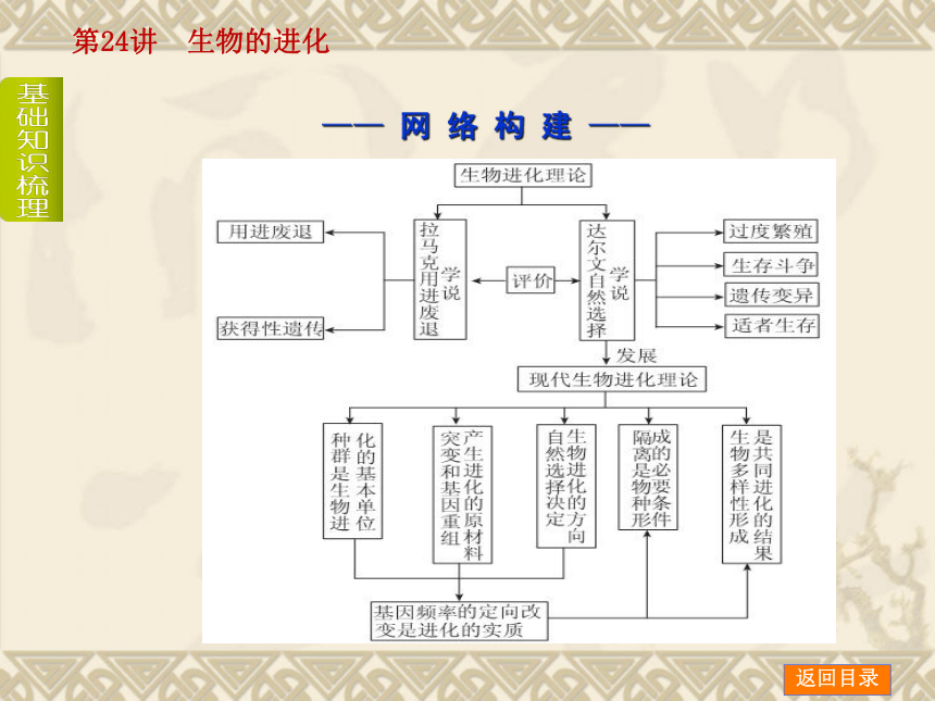 【新课标人教通用，一轮基础查漏补缺】第24讲 生物的进化 （61ppt）