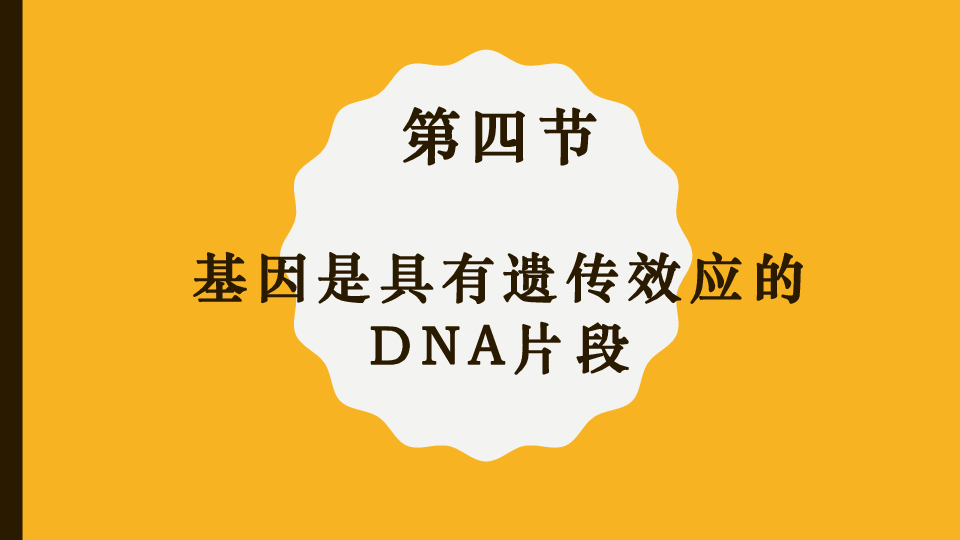 人教版高中生物必修二 3.4 基因是有遗传效应的DNA片段（21张）