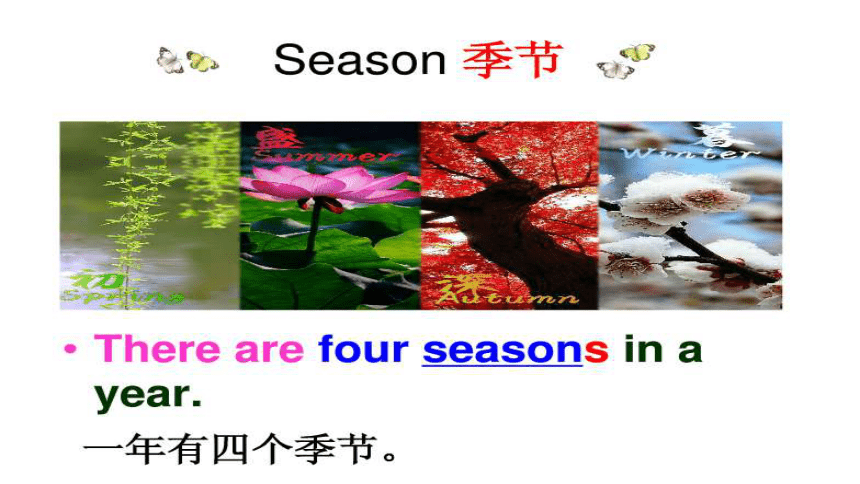 Unit 1 There are four seasons in a year Section A 课件