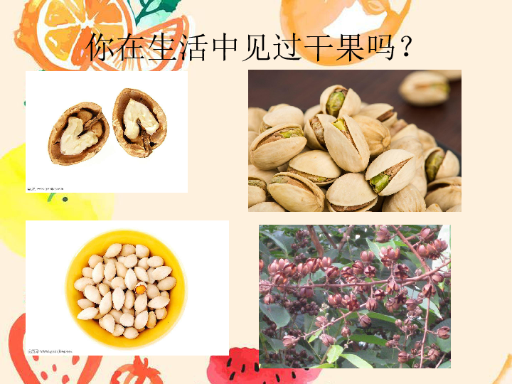 5番茄与花生 课件（8ppt）