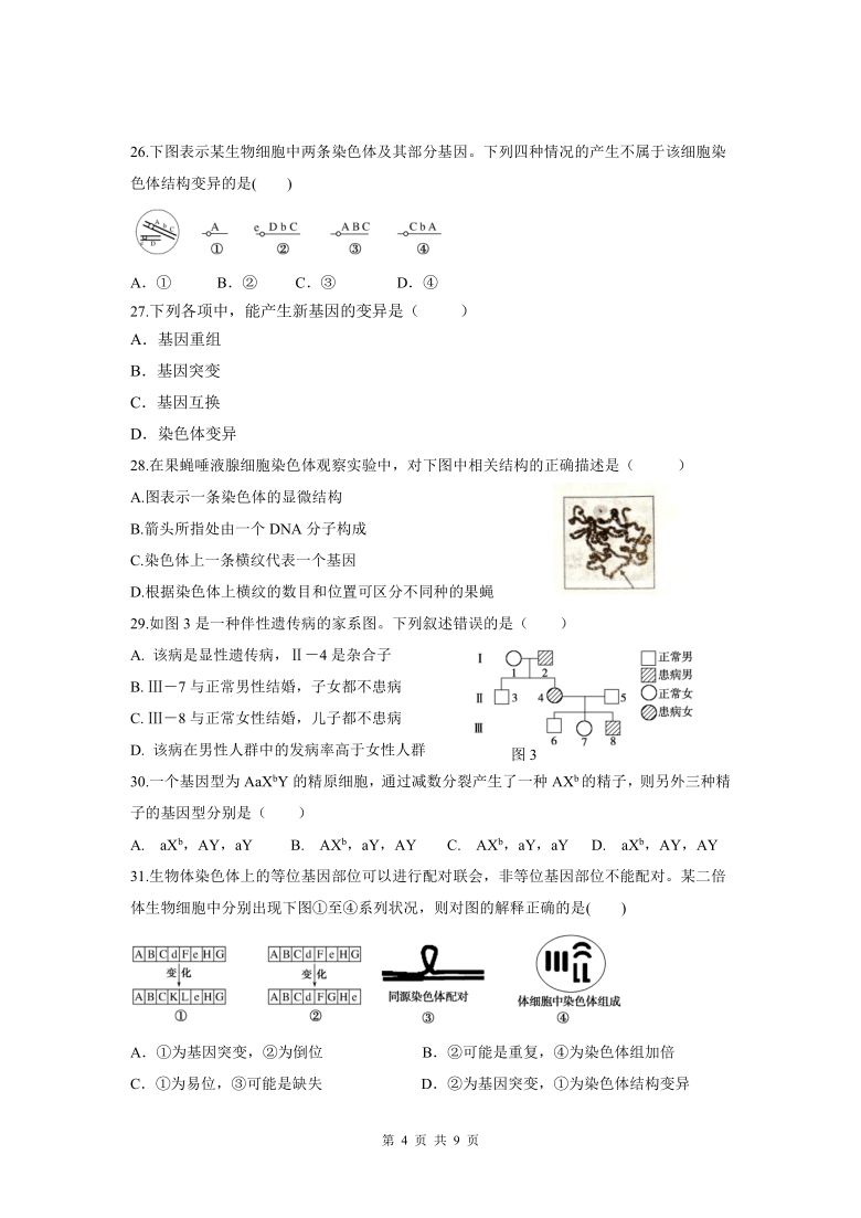 上海市新场高级中学校2020-2021学年高二下学期期中考试生物试题 Word版含答案