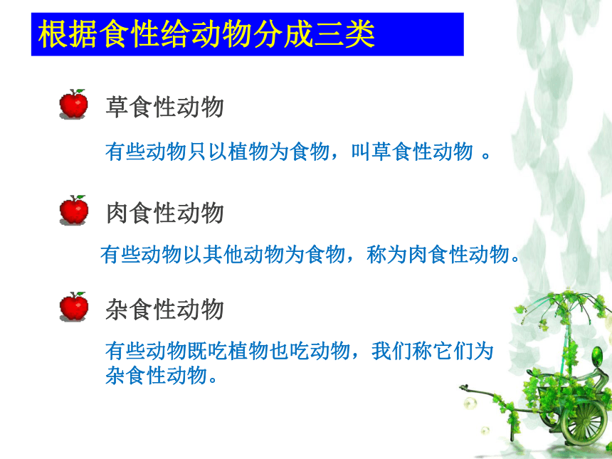 五年级上册科学课件-1.5 动物的食物冀教版  (共20张PPT)