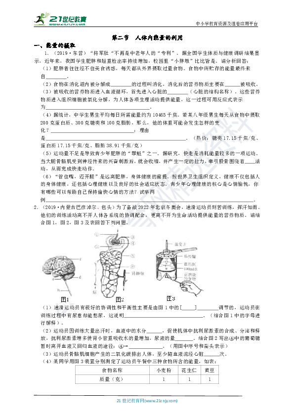 第二节  人体内能量的利用 真题分类试卷（含答案）