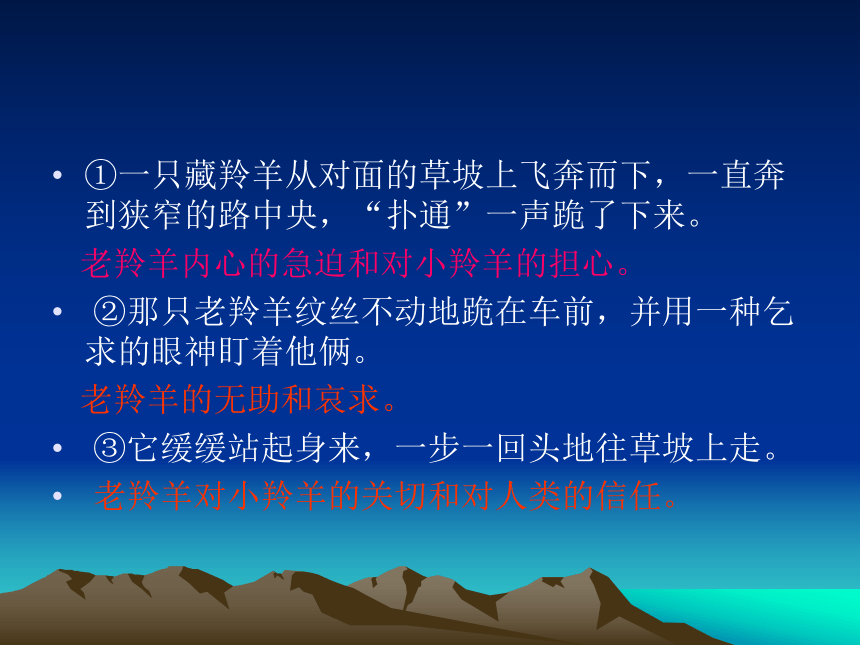 （西师大版）五年级语文上册课件 藏羚羊的故事 2