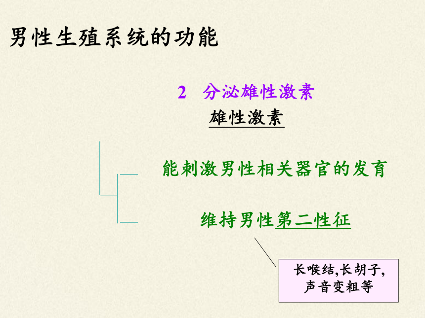 2020—2021学年苏教版七年级生物下册4.8.1 精卵结合孕育新的生命课件（17张PPT）