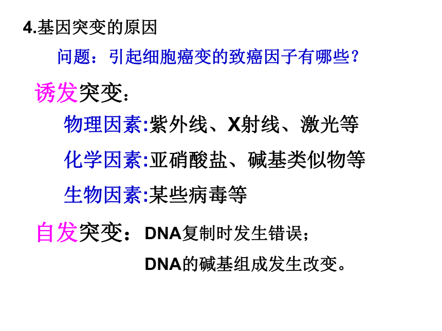 高中生物人教版必修二第五章第1节 基因突变和基因重组   课件(34张PPT)