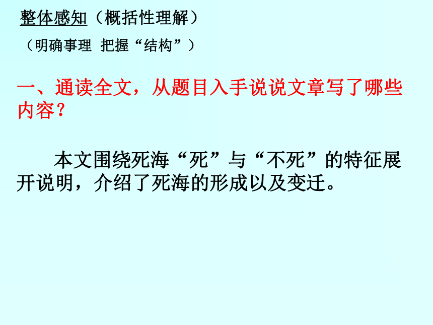 死海不死文章结构图图片