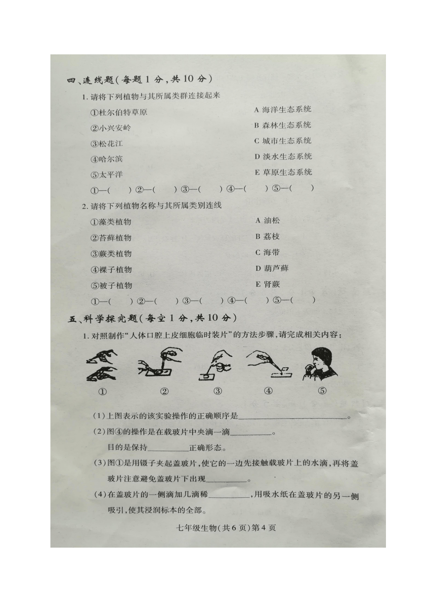 黑龙江省哈尔滨市双城区2017-2018学年七年级上学期期末考试生物试题（图片版，含答案）