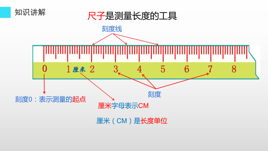 尺子怎么看图片