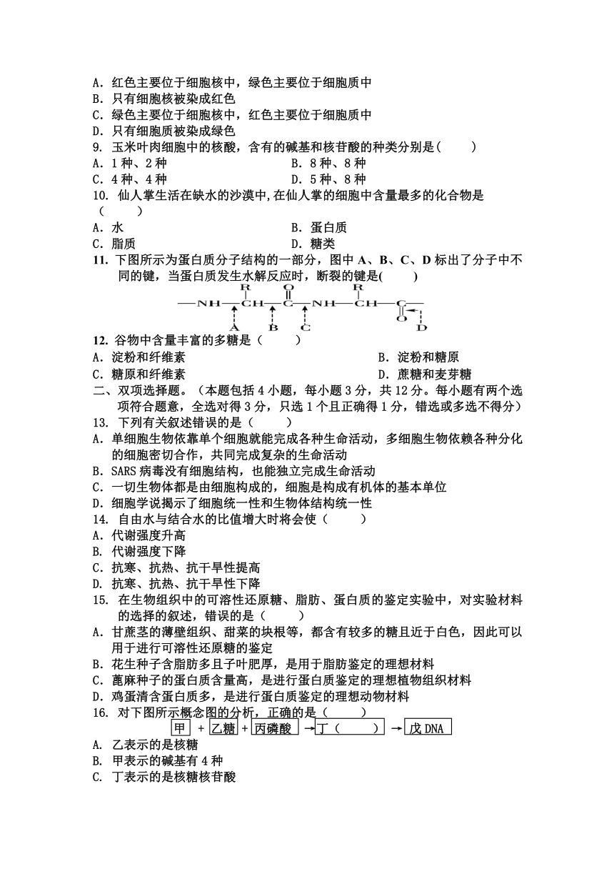 广东省惠州市东江高级中学2013-2014学年高一上学期期中生物试题 Word版含答案