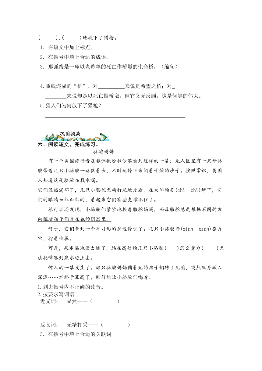 17.生命的壮歌   优化练习（含能力题答案）