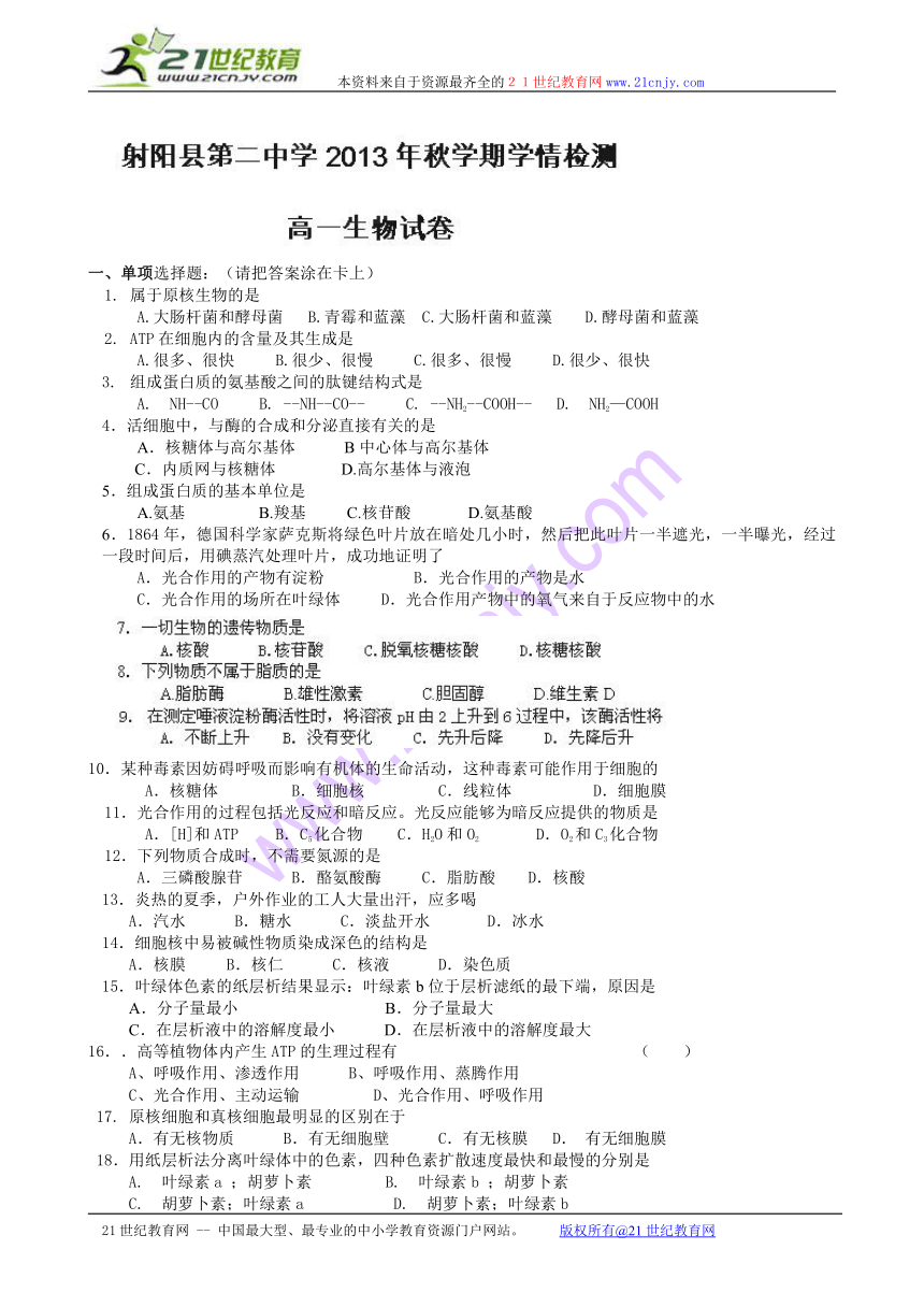 江苏省盐城市射阳县第二中学2013-2014学年高一上学期期中考试生物试题