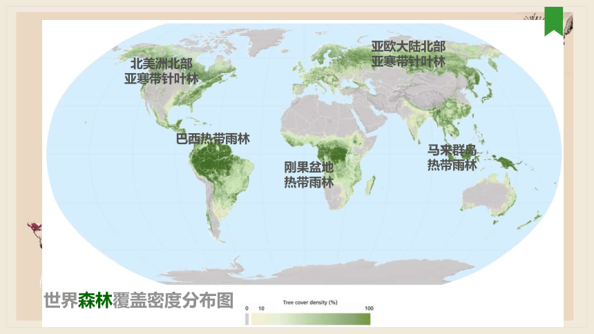 世界森林资源分布图图片