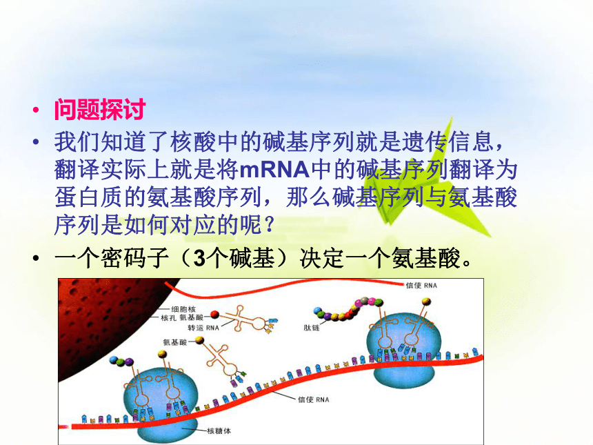 2016年秋  备课参考  人教版生物  必修2  4.3 遗传密码的破译 （共37张PPT）