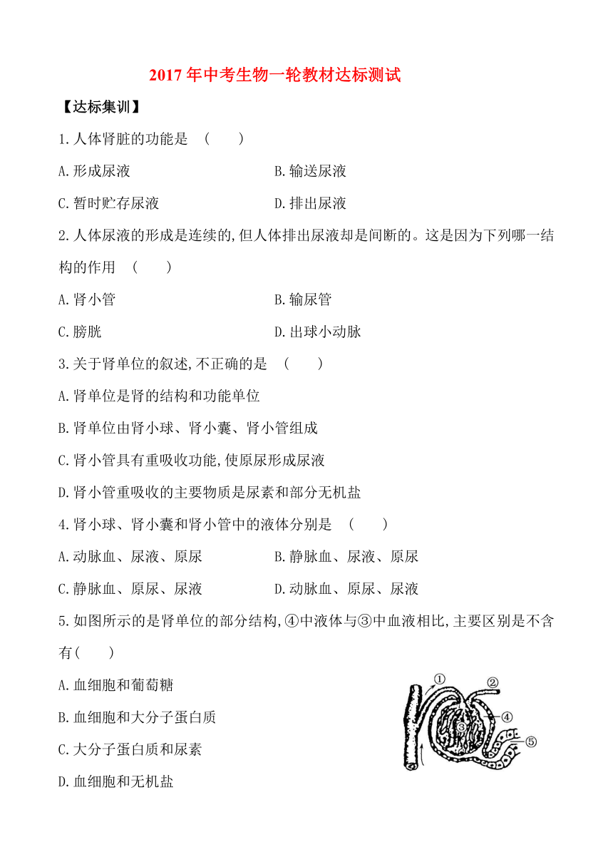 2017年中考生物一轮教材达标测试题：第4单元 第十一章 人体内的废物排入环境（解析版）