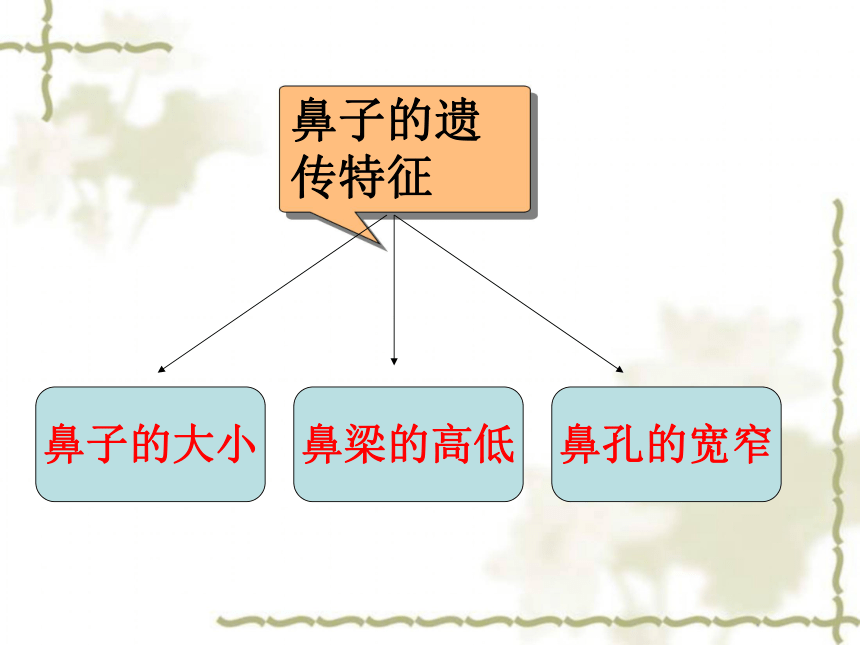 9 生物的遗传现象 课件