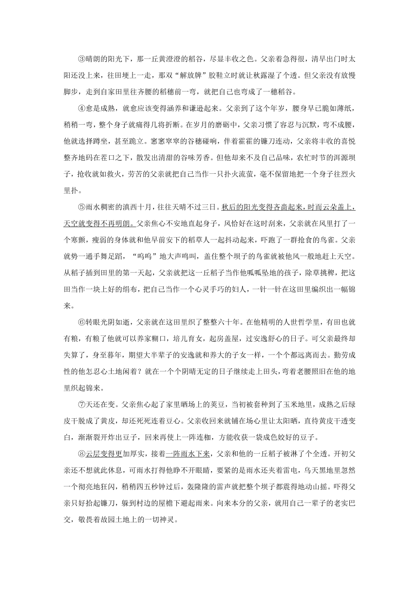 甘肃省张掖地区2017年中考语文试卷（word版，含答案）