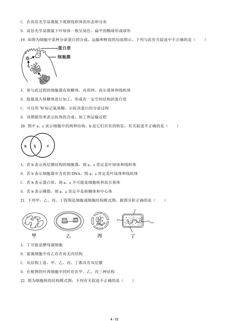 重庆市江北区等七校联考2018-2019学年高一上学期生物期末生物试题  含答案