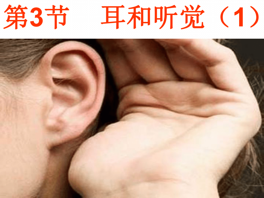 2.3  耳和听觉（共计2课时）
