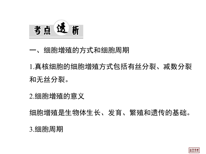 2014届高三生物一轮复习课件： 4.1 细胞的增殖